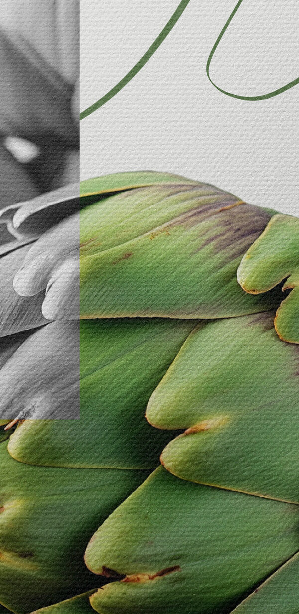 Artisjokken op een tafel met een groene achtergrond Artisjokken op een tafel met een groene achtergrond