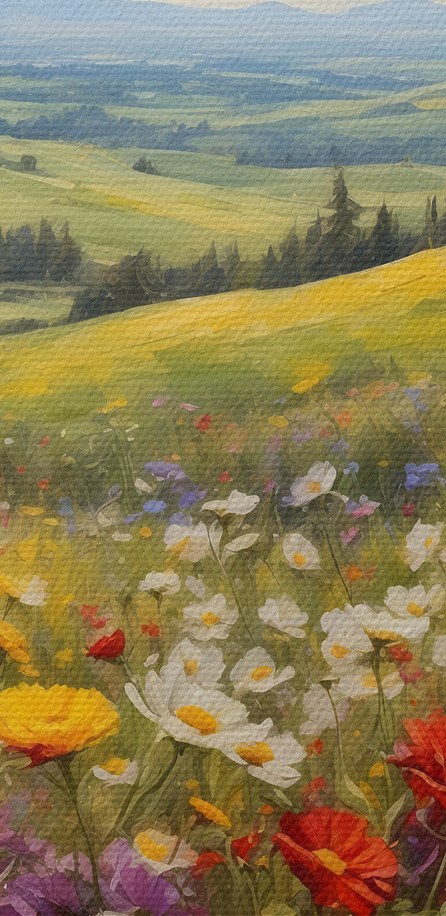 Veld met kleurrijke bloemen