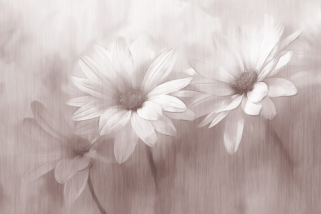 Close up of flowers