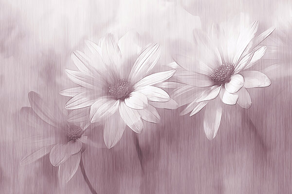 Close-up van bloemen Close-up van bloemen