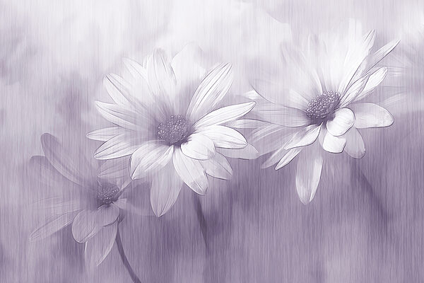 Close-up van bloemen Close-up van bloemen