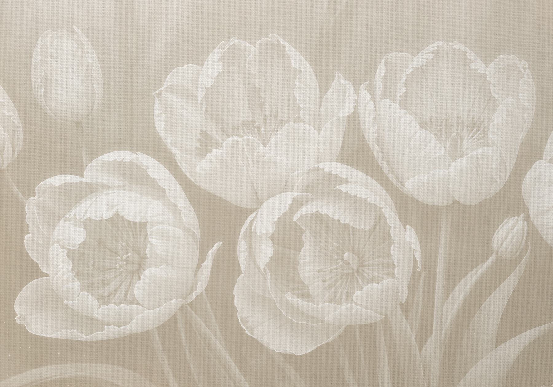 Close up of flowers Close up of flowers