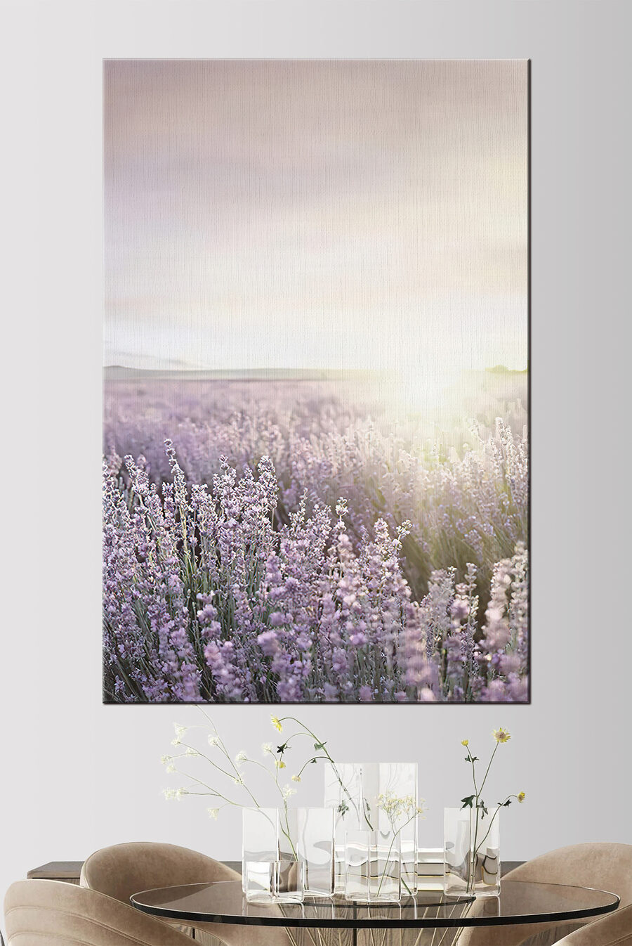 Veld met lavendel waar de zon doorheen schijnt Veld met lavendel waar de zon doorheen schijnt