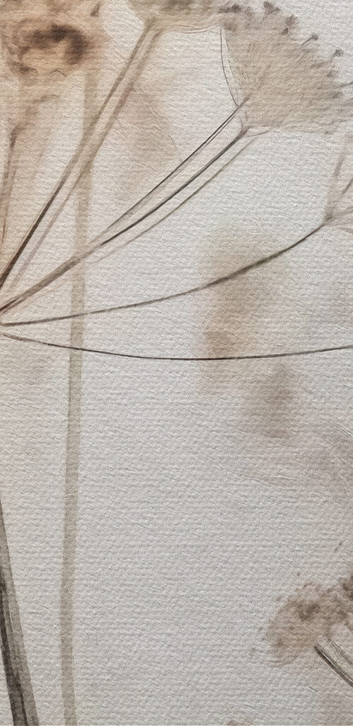 Delicate flowers in soft watercolor tones