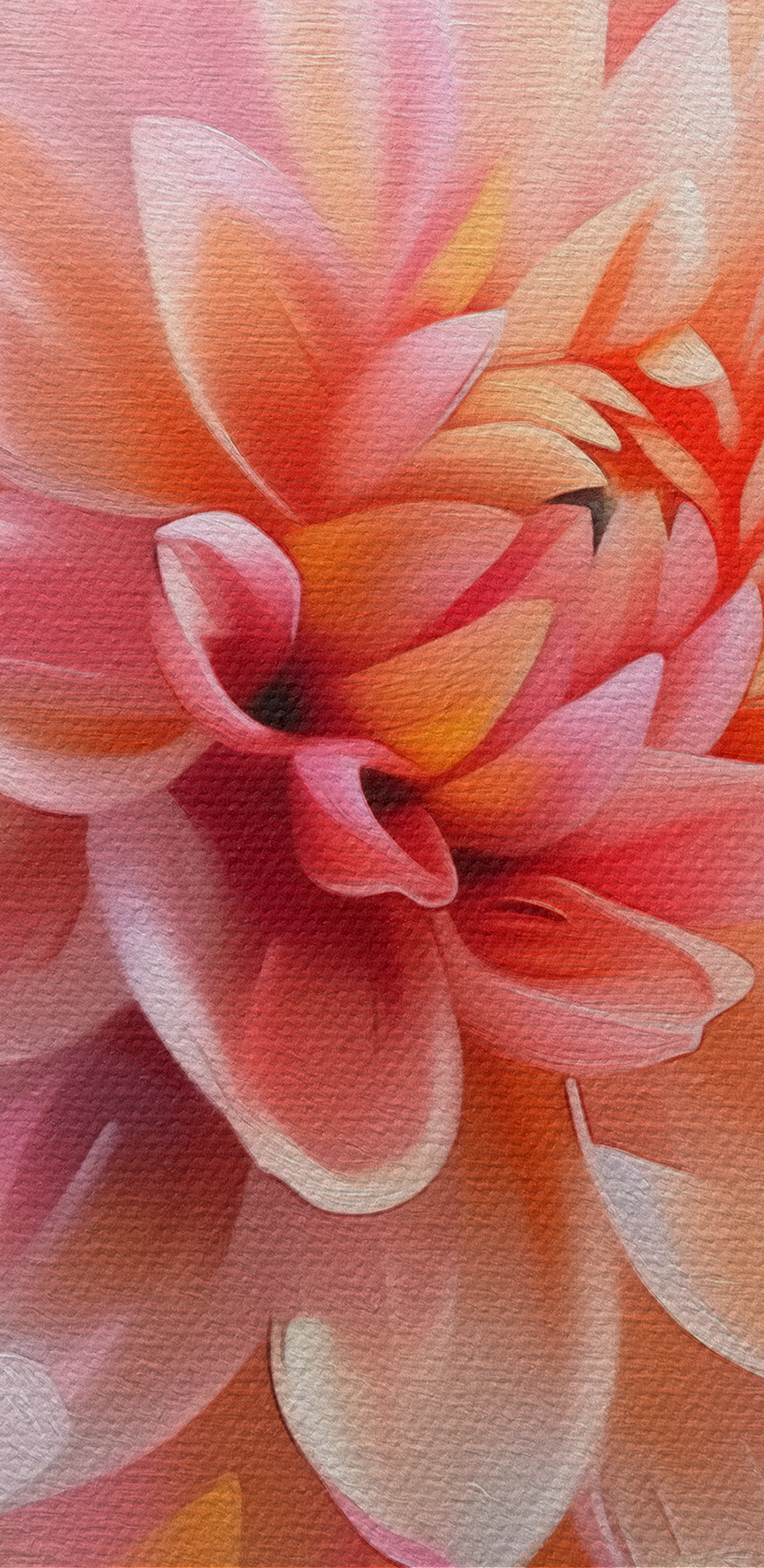 Close-up van een bloem