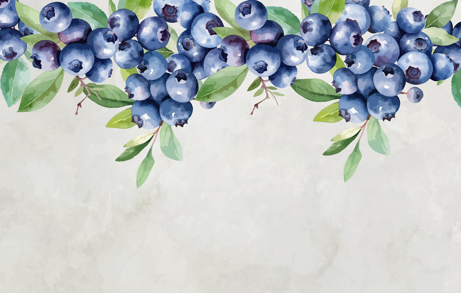 Blueberry with green leaves Blueberry with green leaves