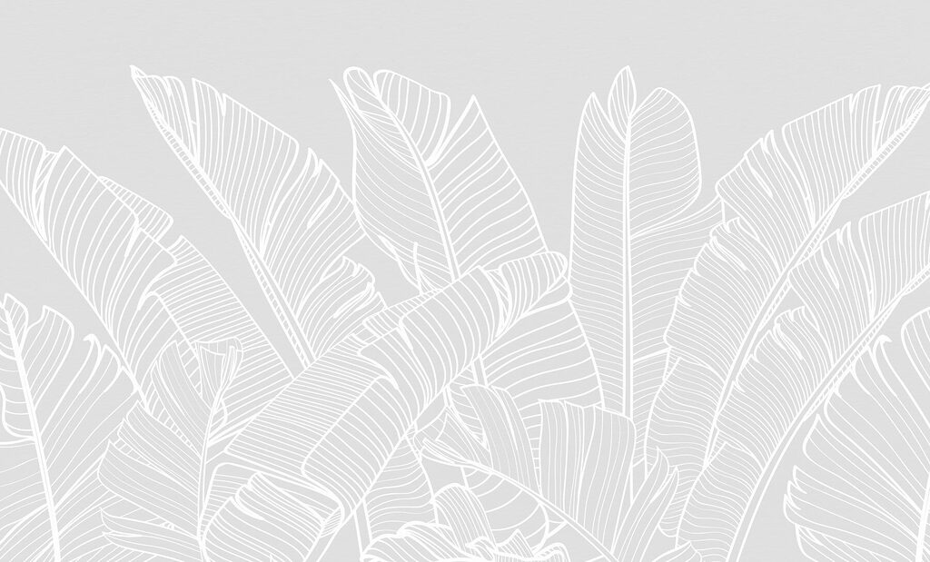 Witte lijntekening van bladeren Witte lijntekening van bladeren