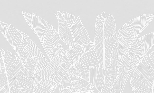 Witte lijntekening van bladeren Witte lijntekening van bladeren
