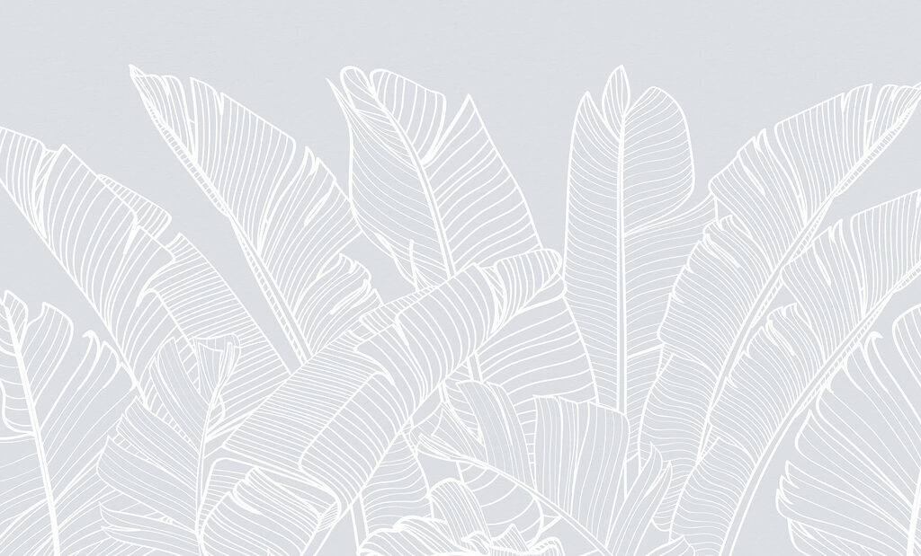 Witte lijntekening van bladeren Witte lijntekening van bladeren