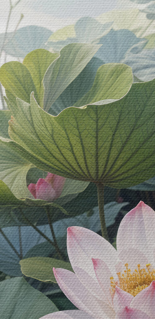Group of pink flowers and green leaves Group of pink flowers and green leaves