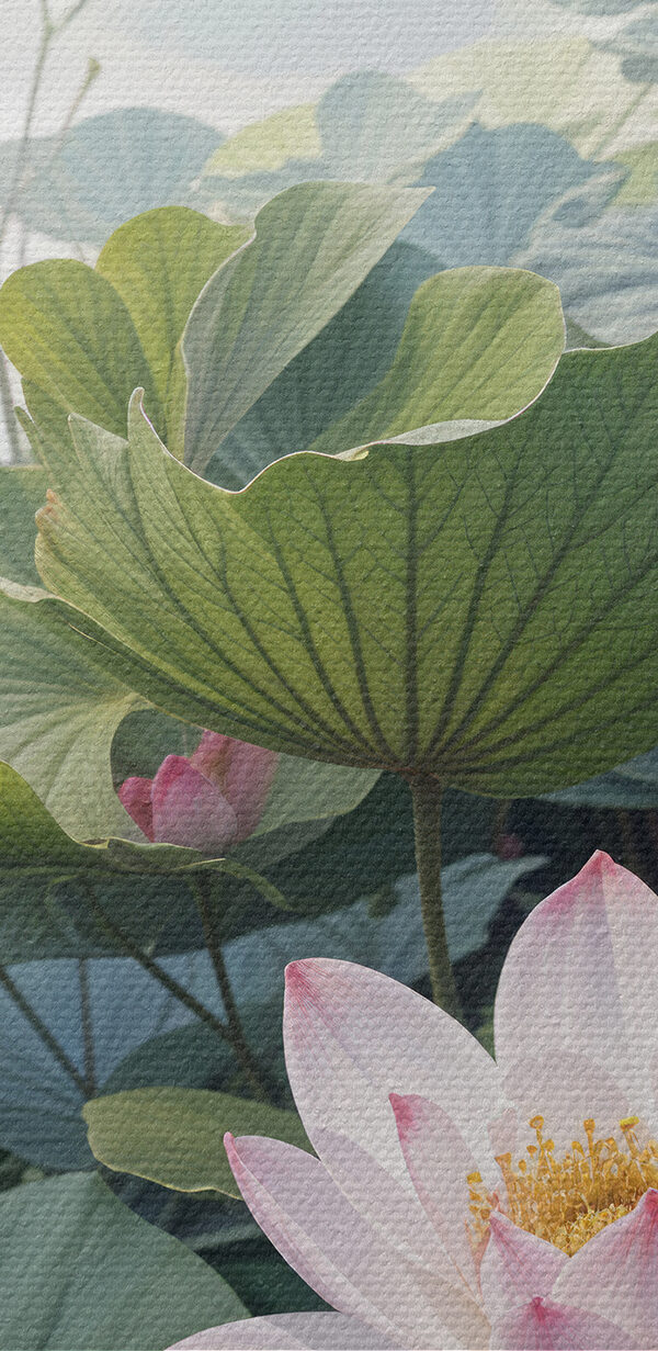 Groep roze bloemen en groene bladeren Groep roze bloemen en groene bladeren