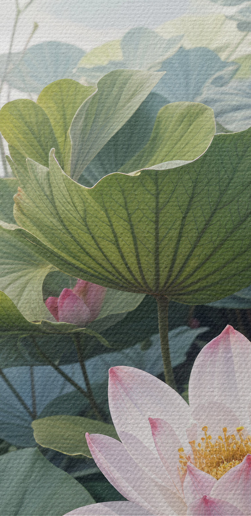 Groep roze bloemen en groene bladeren