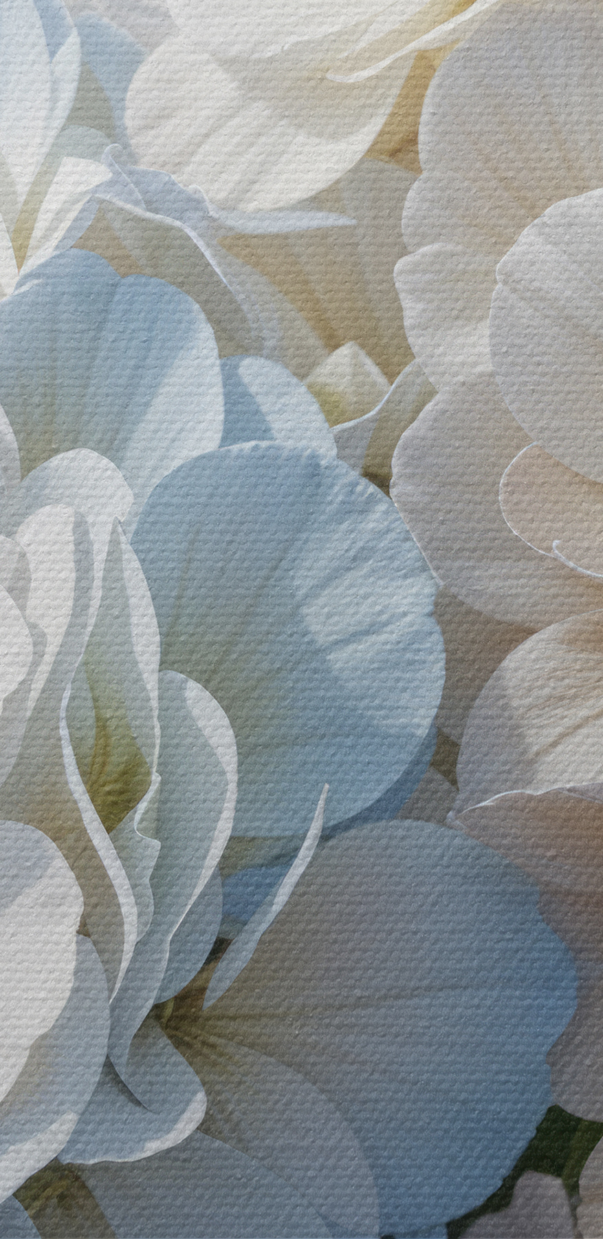Groep witte en blauwe bloemen Groep witte en blauwe bloemen