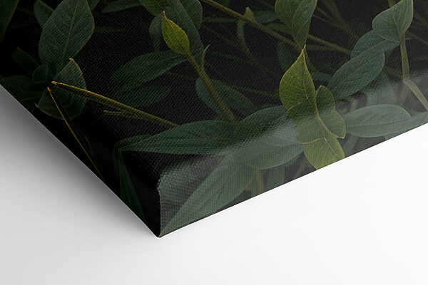 Field of pink flowers with a tree and mountains in the background