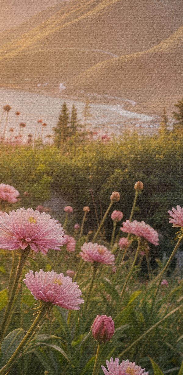 Field of pink flowers with a tree and mountains in the background