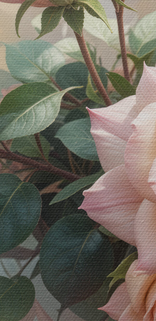 Groep roze rozen Groep roze rozen