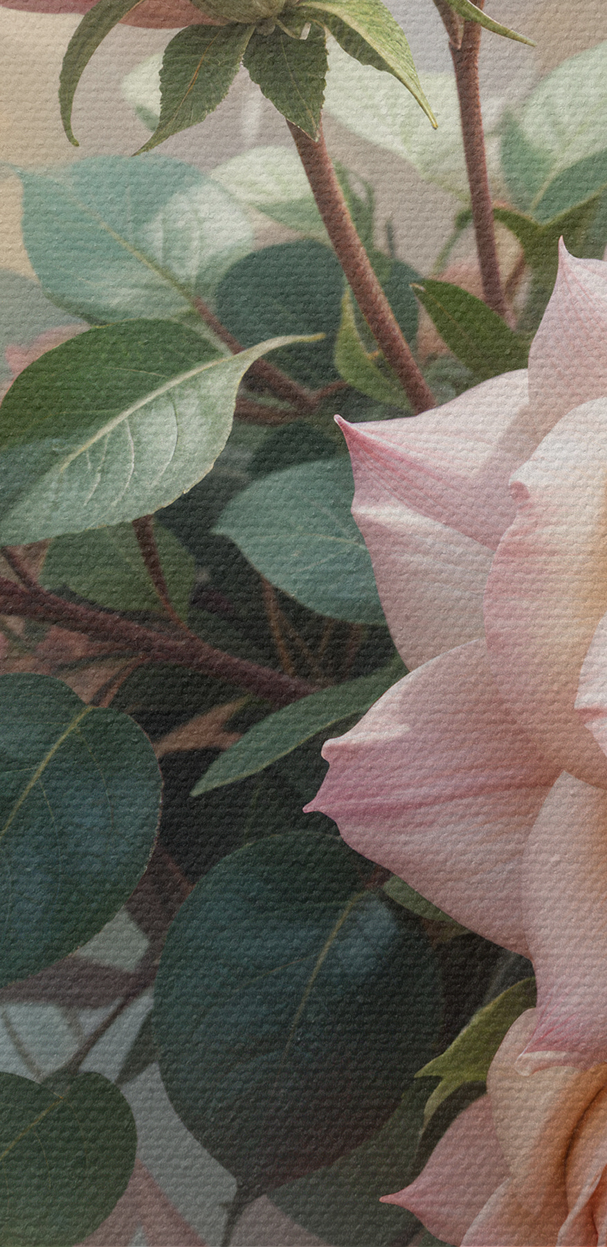 Groep roze rozen