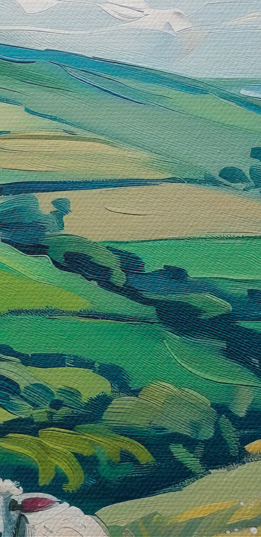 Groep schapen op een met gras begroeide heuvel