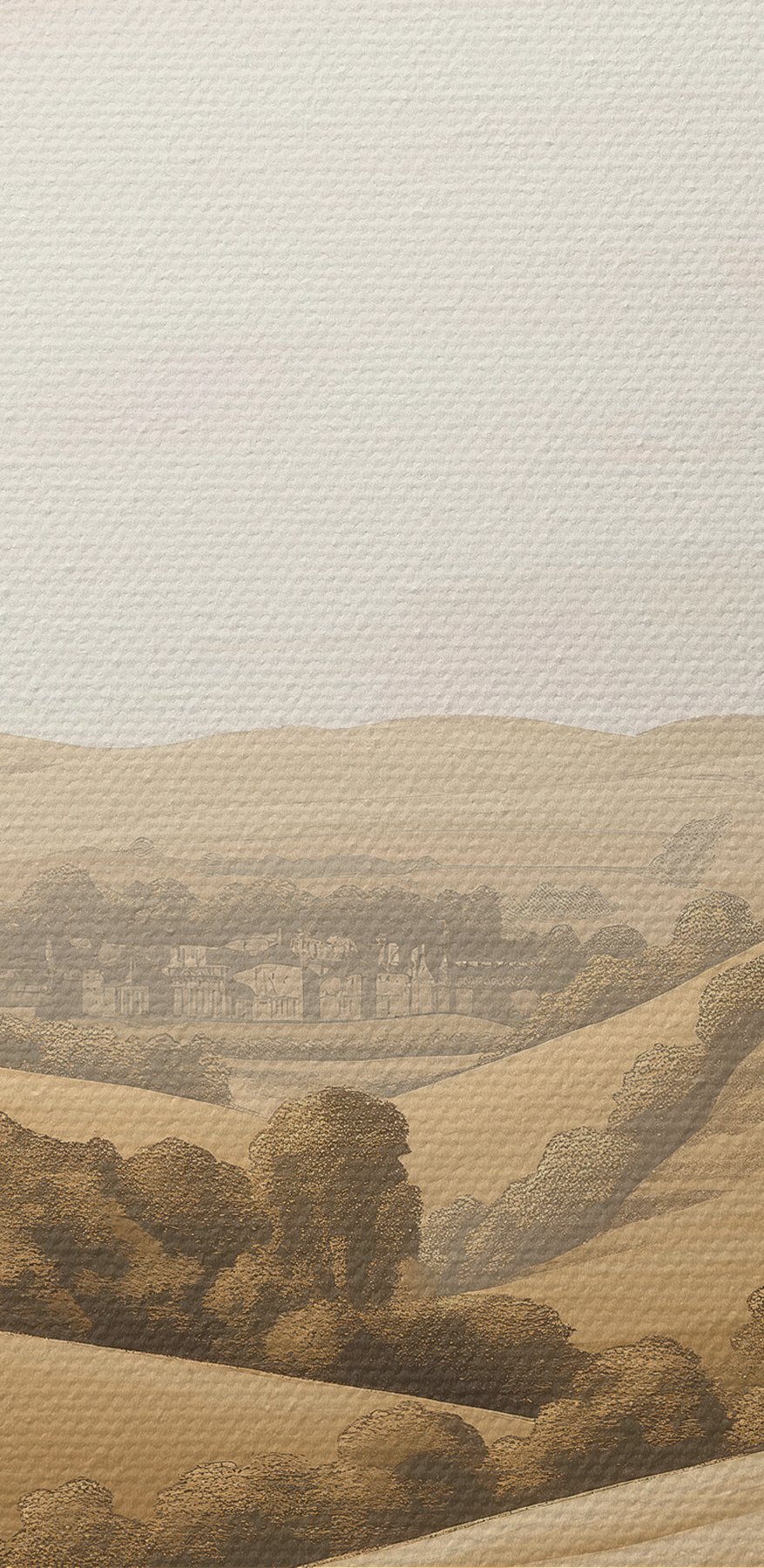 Landschap met heuvels en bomen