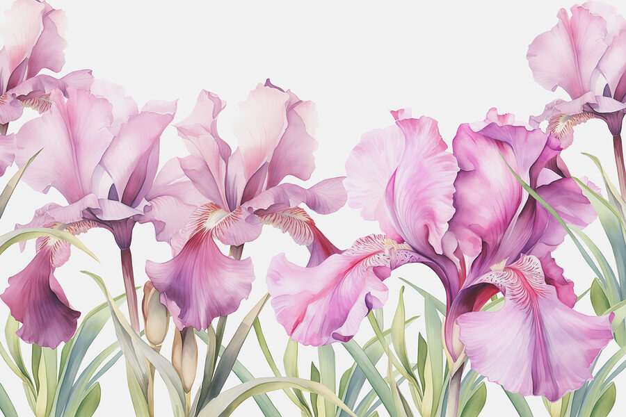 Rij paarse bloemen