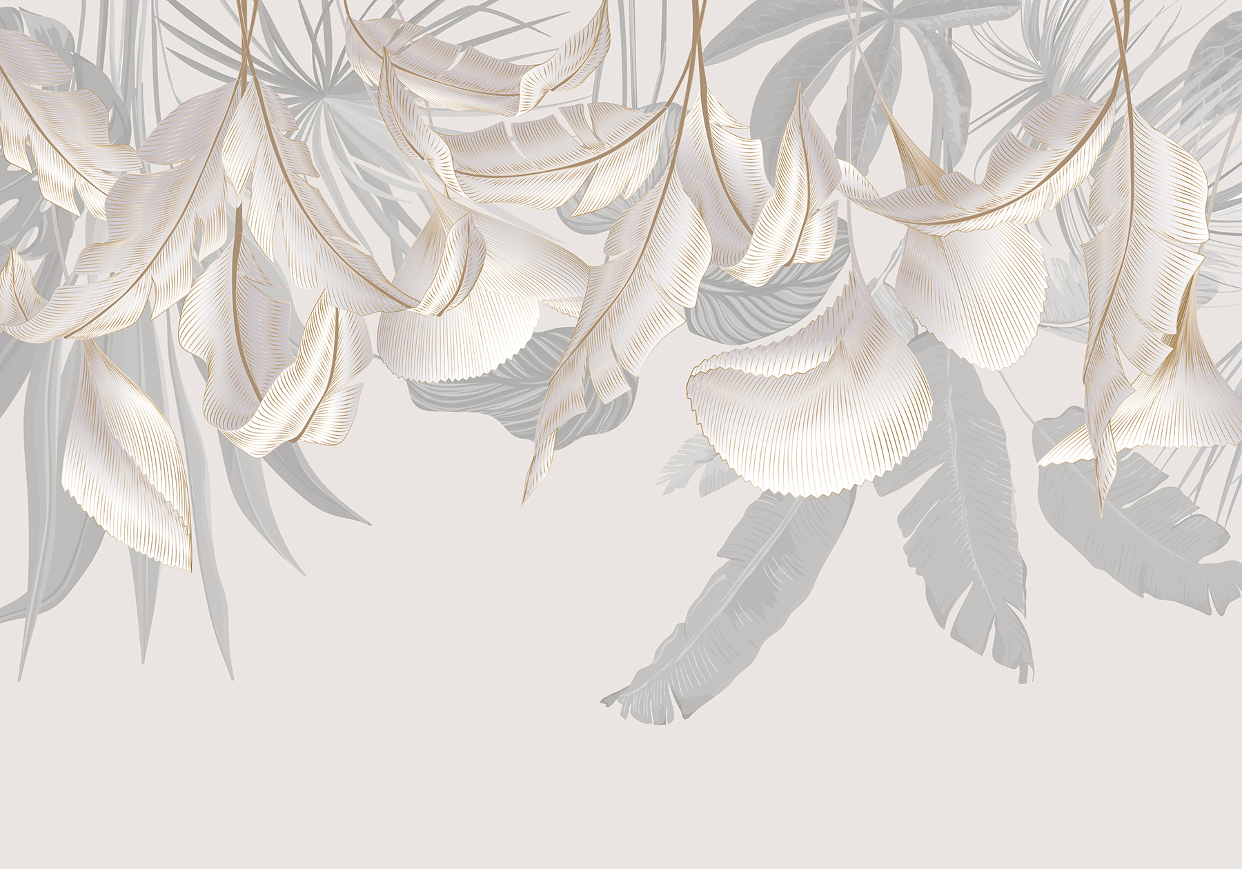 Close up of feathers Close up of feathers