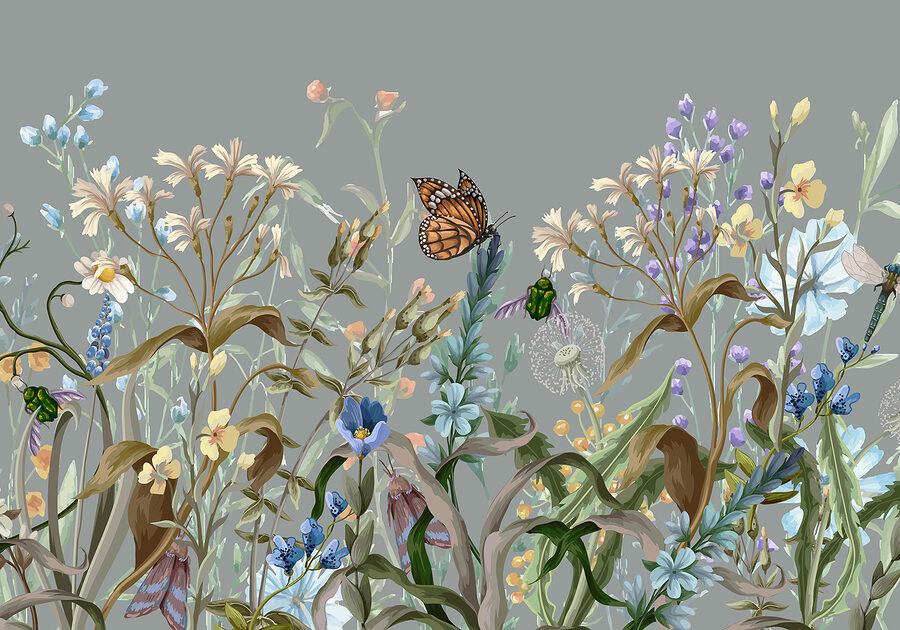 Vlinder op een bloem