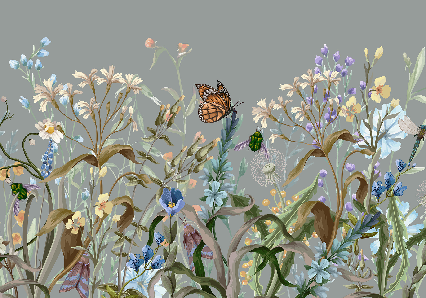 Butterfly on a flower