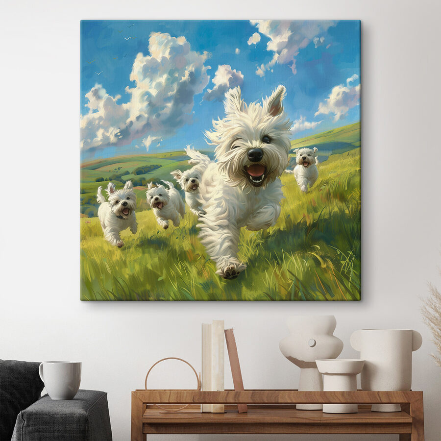 Groep witte honden in een veld
