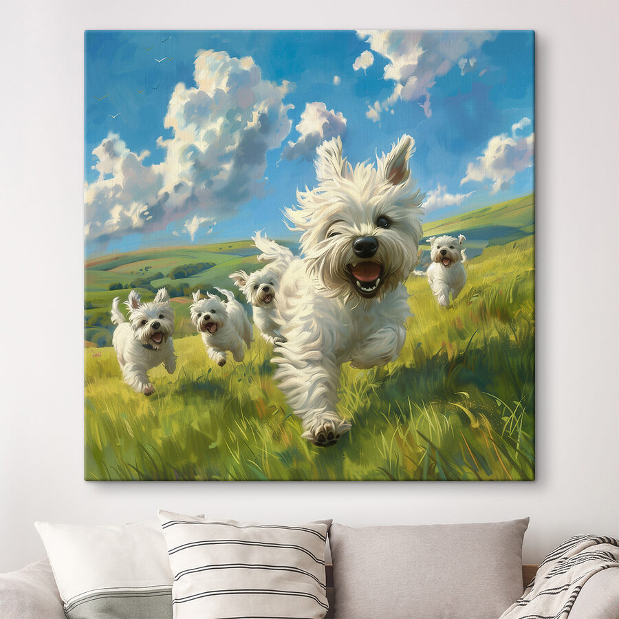 Groep witte honden in een veld