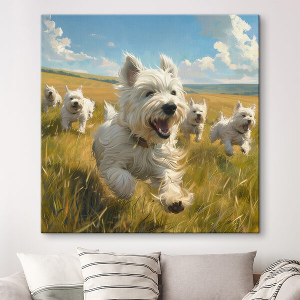 Groep witte honden in een veld Groep witte honden in een veld