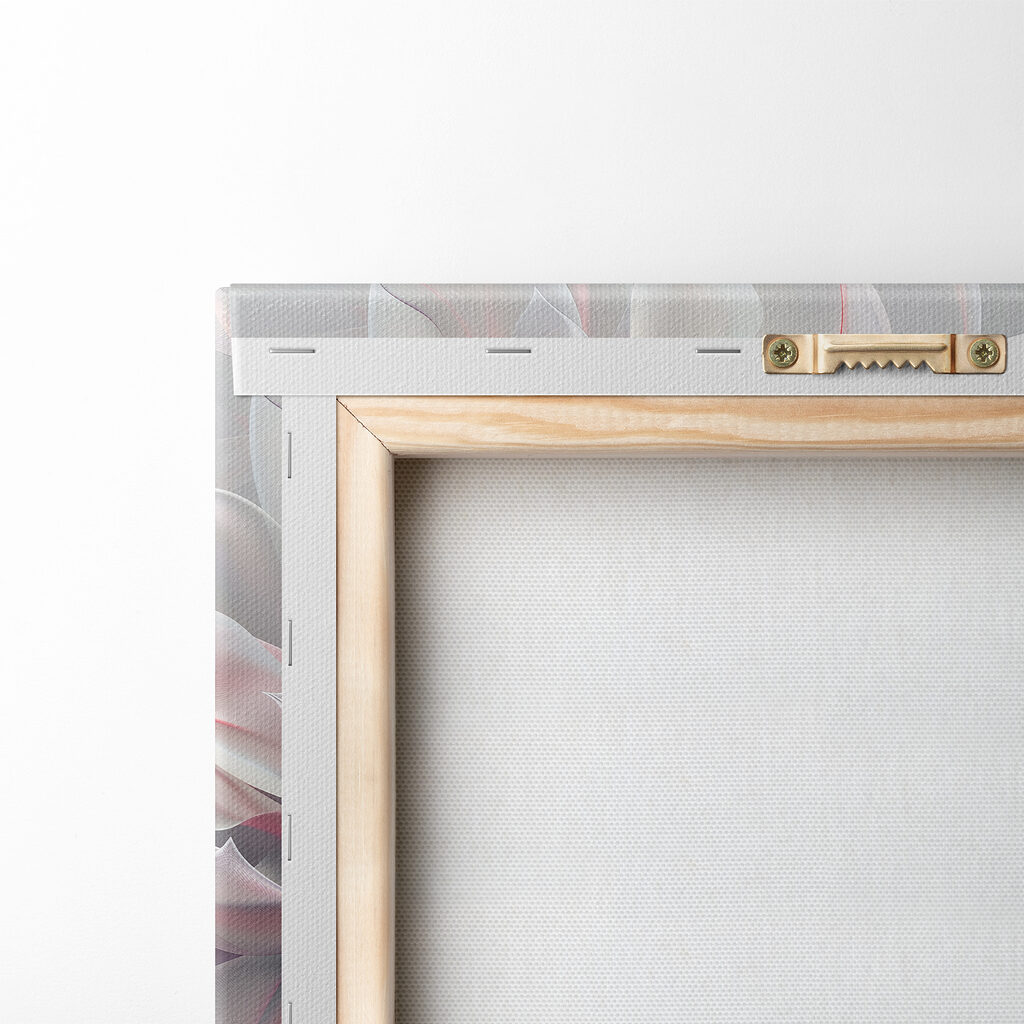 Close up of a flower