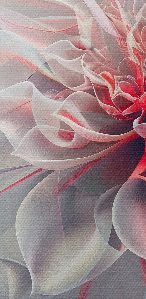 Close up of a flower