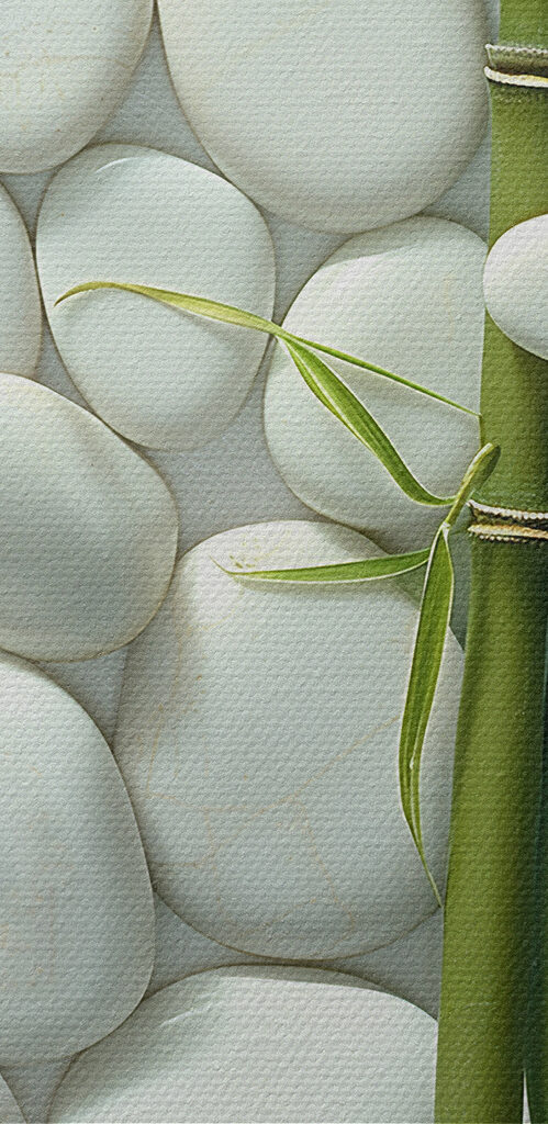 Group of green bamboo stems and white rocks