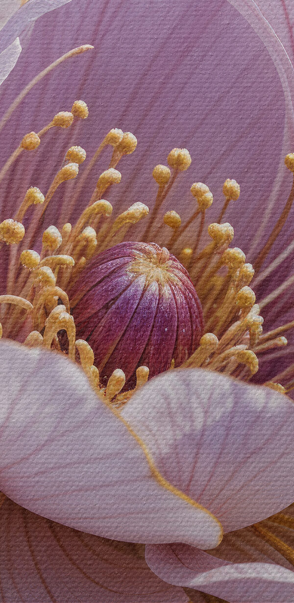 Close-up van een bloem Close-up van een bloem