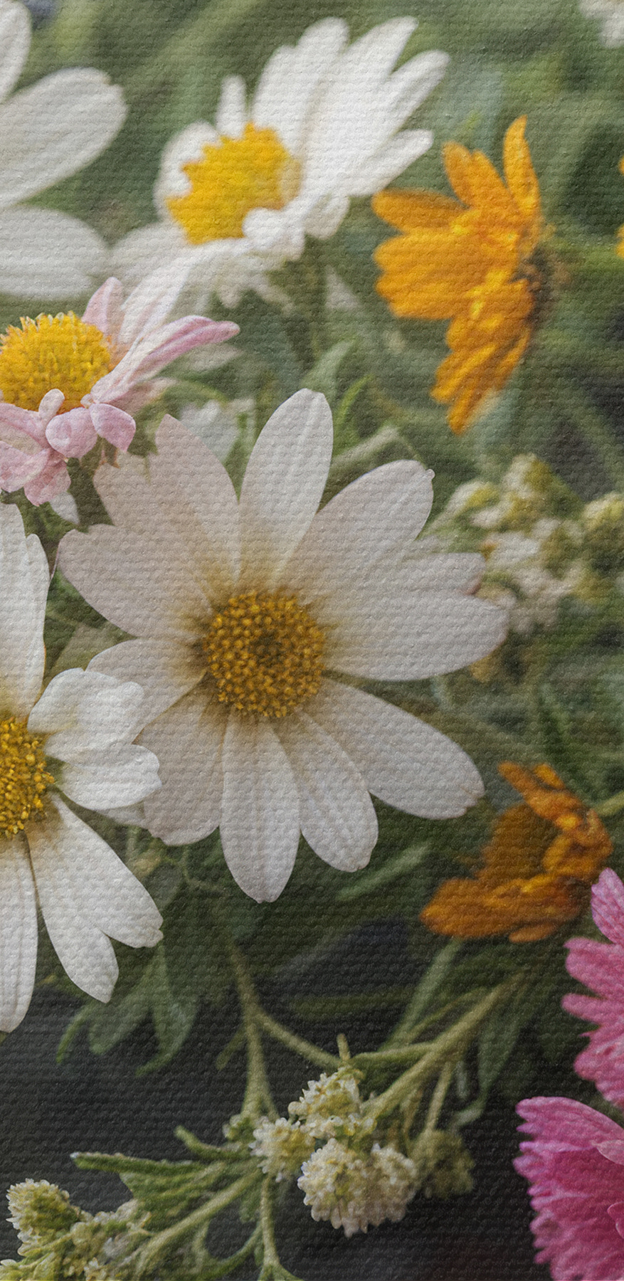 Groep kleurrijke bloemen