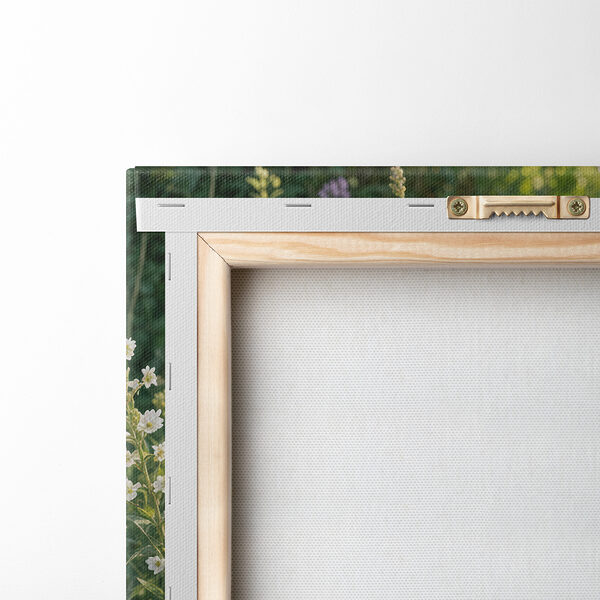 Field of colorful flowers Field of colorful flowers