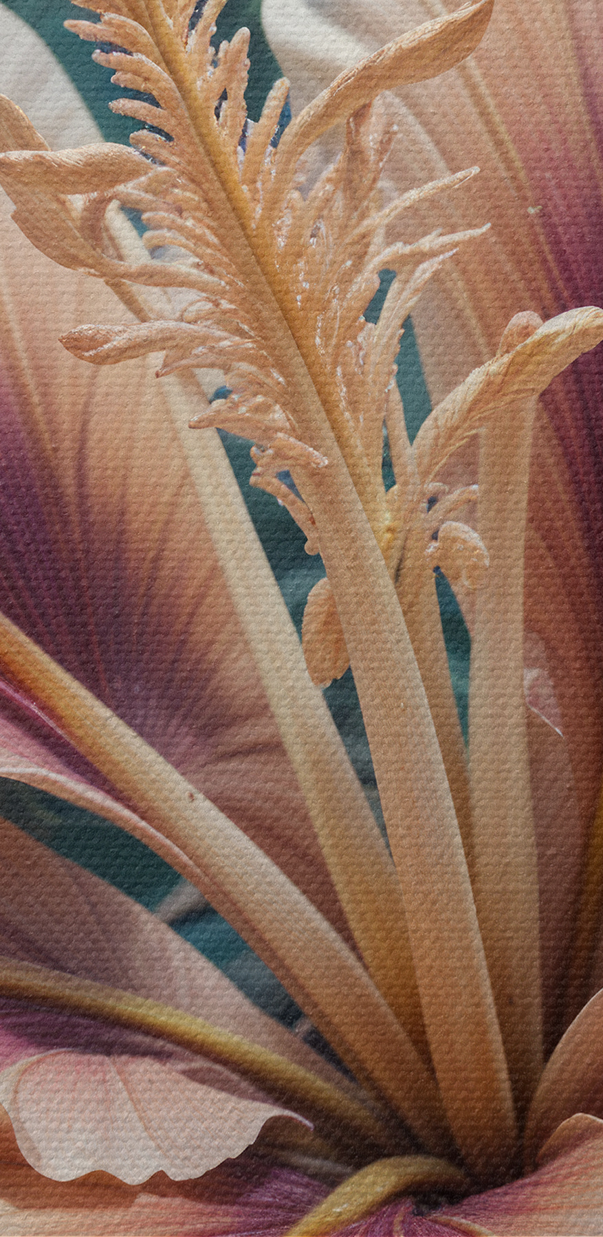 Close-up van een bloem