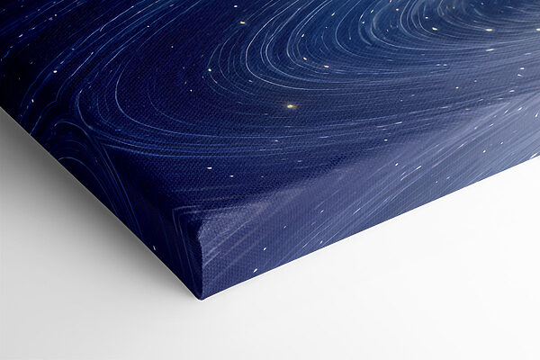 Witte zwaan met gele en blauwe veren Witte zwaan met gele en blauwe veren