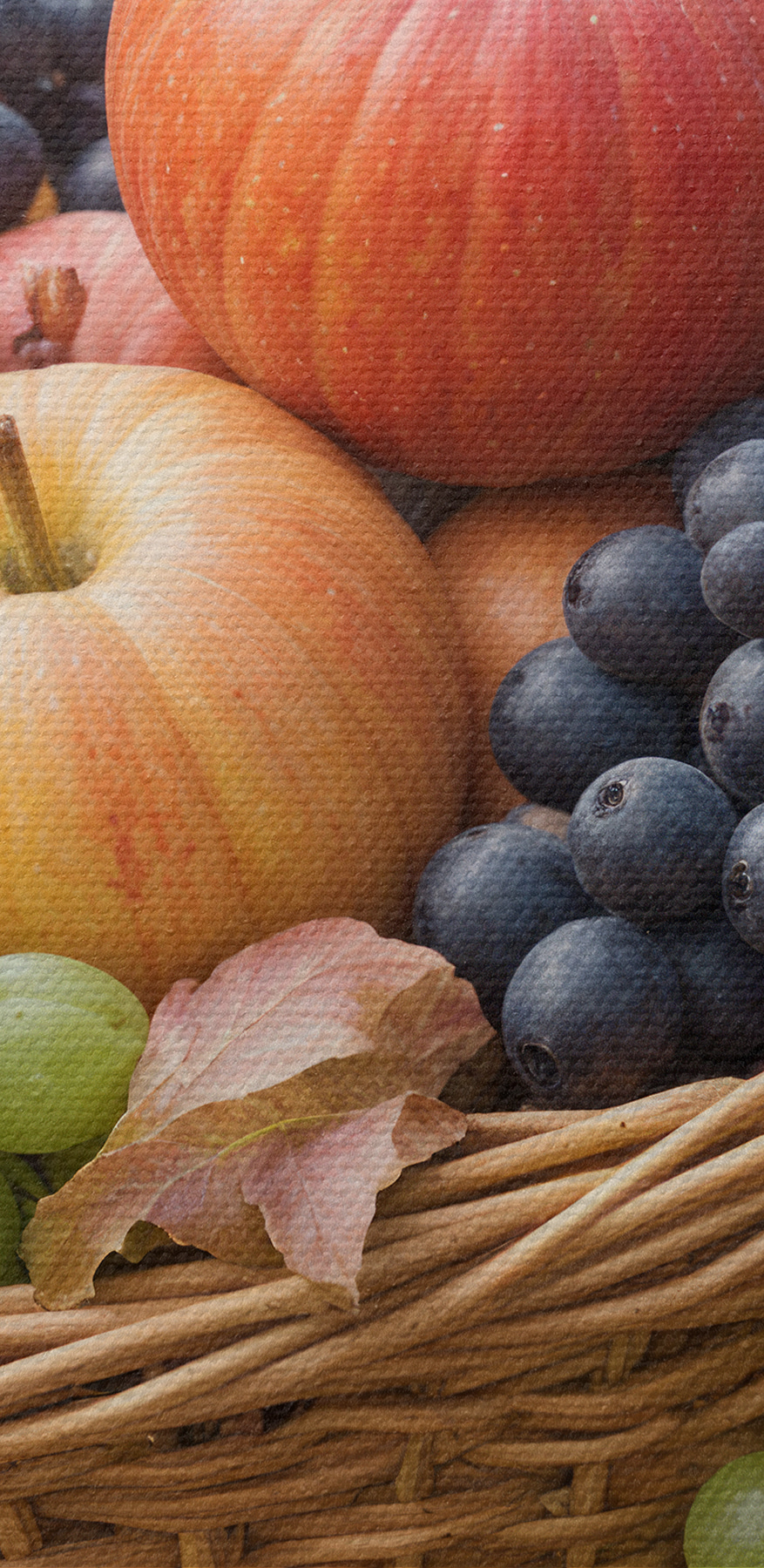 Fruitmand met bladeren Fruitmand met bladeren