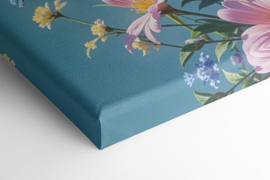 Vlinder op een bloem