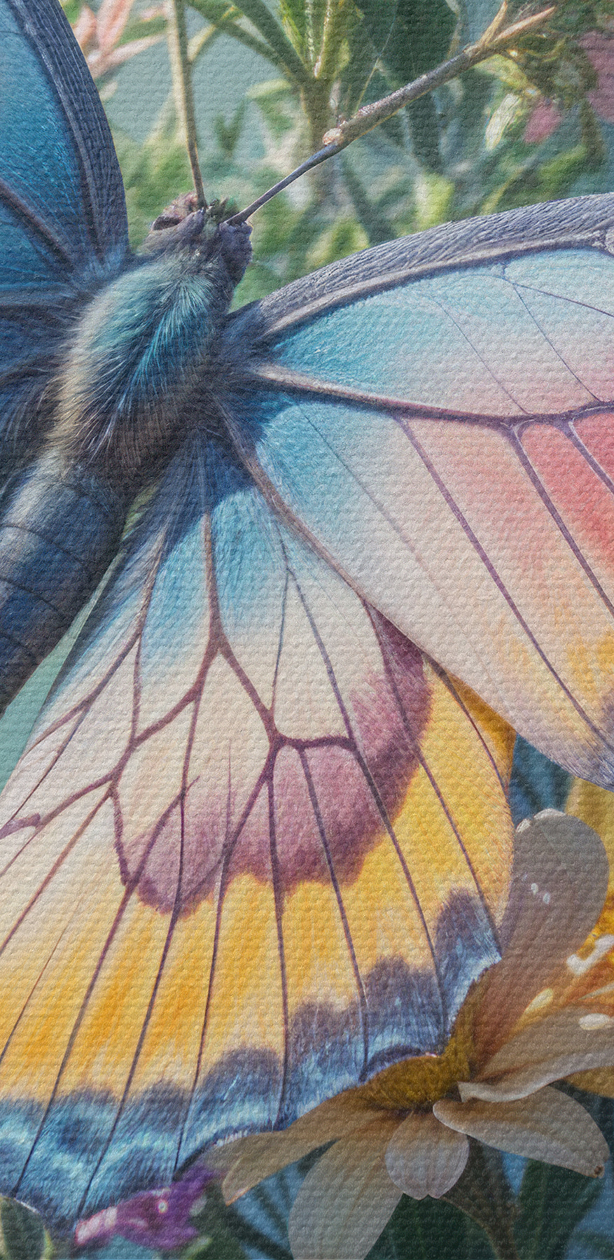 Vlinder op een bloem