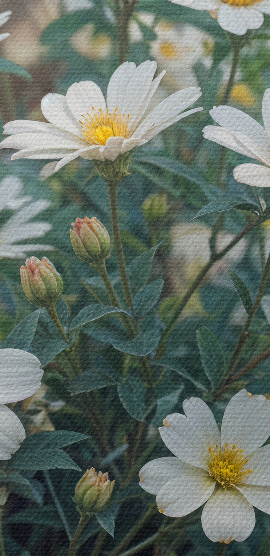 Groep witte bloemen
