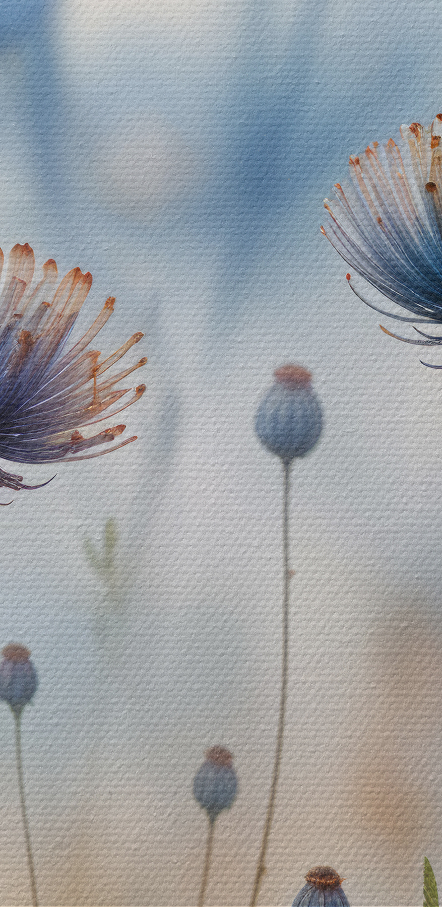 Close-up van bloemen