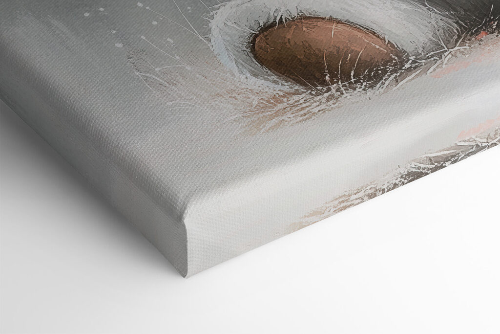 White teddy bear holding a heart