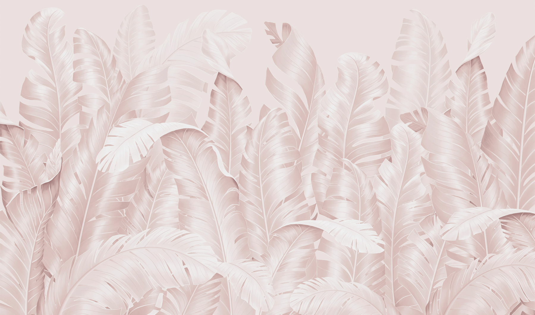Group of white feathers