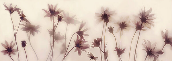 Groep bloemen met stelen Groep bloemen met stelen
