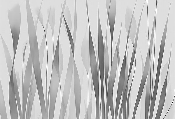Grijs en wit beeld van planten Grijs en wit beeld van planten