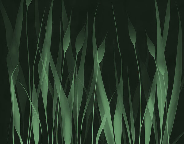 Groen gras met zwarte achtergrond Groen gras met zwarte achtergrond