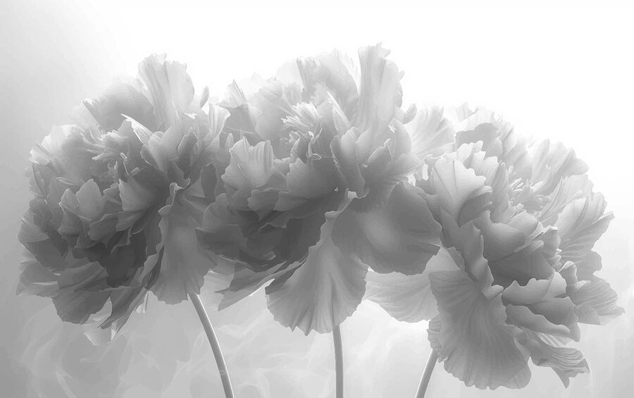 Groep bloemen op witte achtergrond Groep bloemen op witte achtergrond