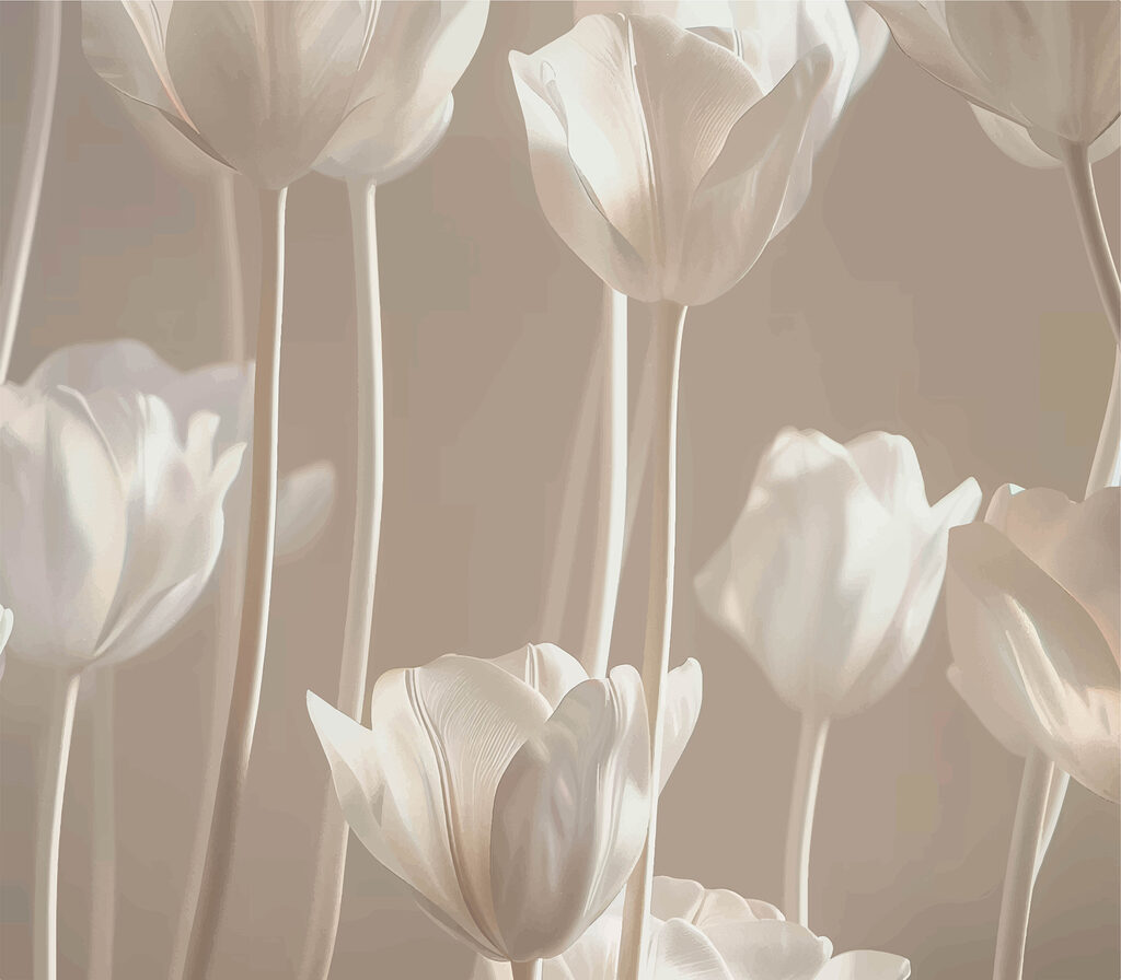 Groep witte bloemen Groep witte bloemen
